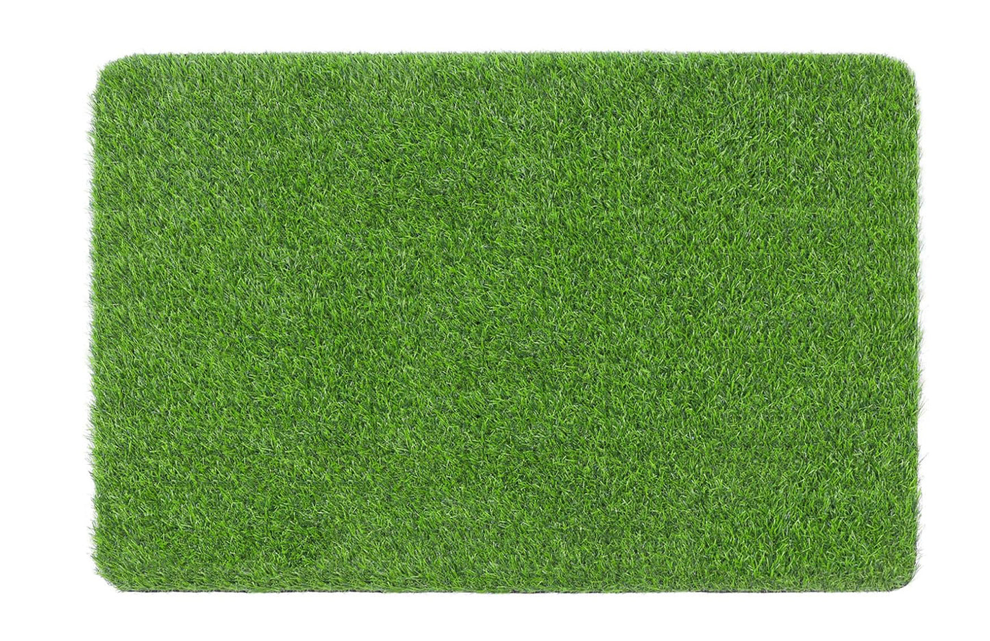 Premium Quality Grass Carpet with 25 mm Thickness